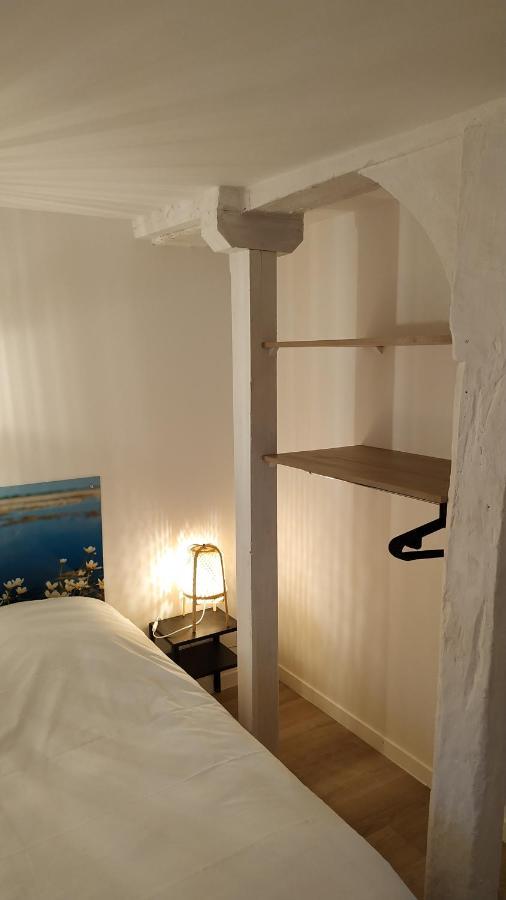"Gite Le Relais Viennois" Vue Sur Loire & Linge Inclus ブロワ エクステリア 写真